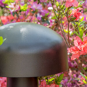 Epizoda Terrain DVC Subwoofer