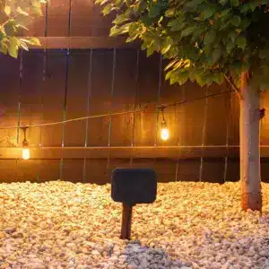 Courtyard 4.1