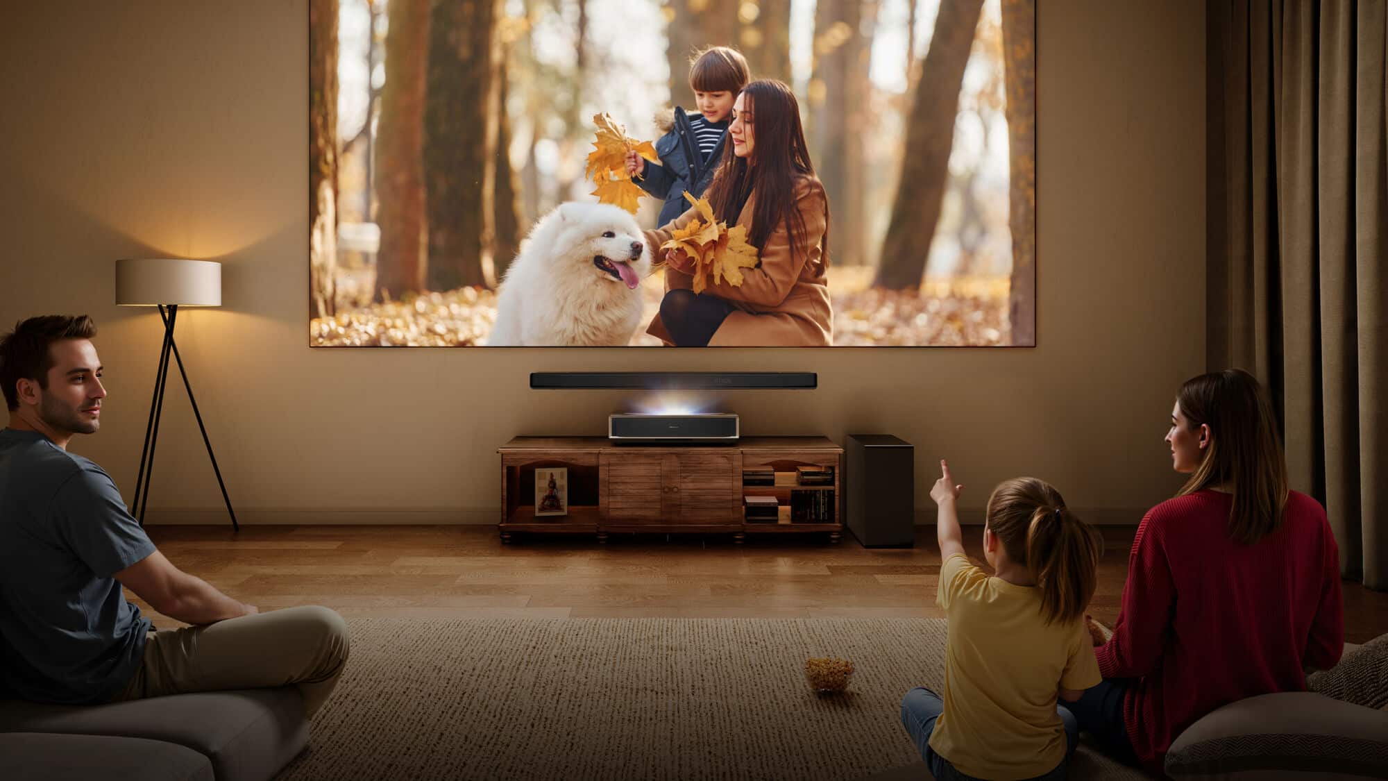 Die richtige Leinwand für den Hisense PT1