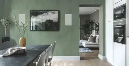 Sonance Visual Experience