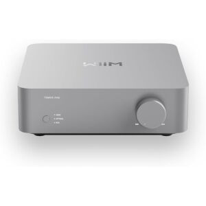 WiiM Vibelink Amp