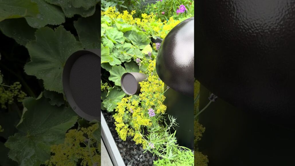 Sommer, Sonne & perfekter Gartensound: Sonance Patio 4.1 System